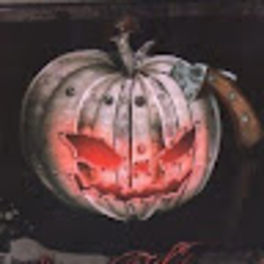 Meet your Posher, Shylah